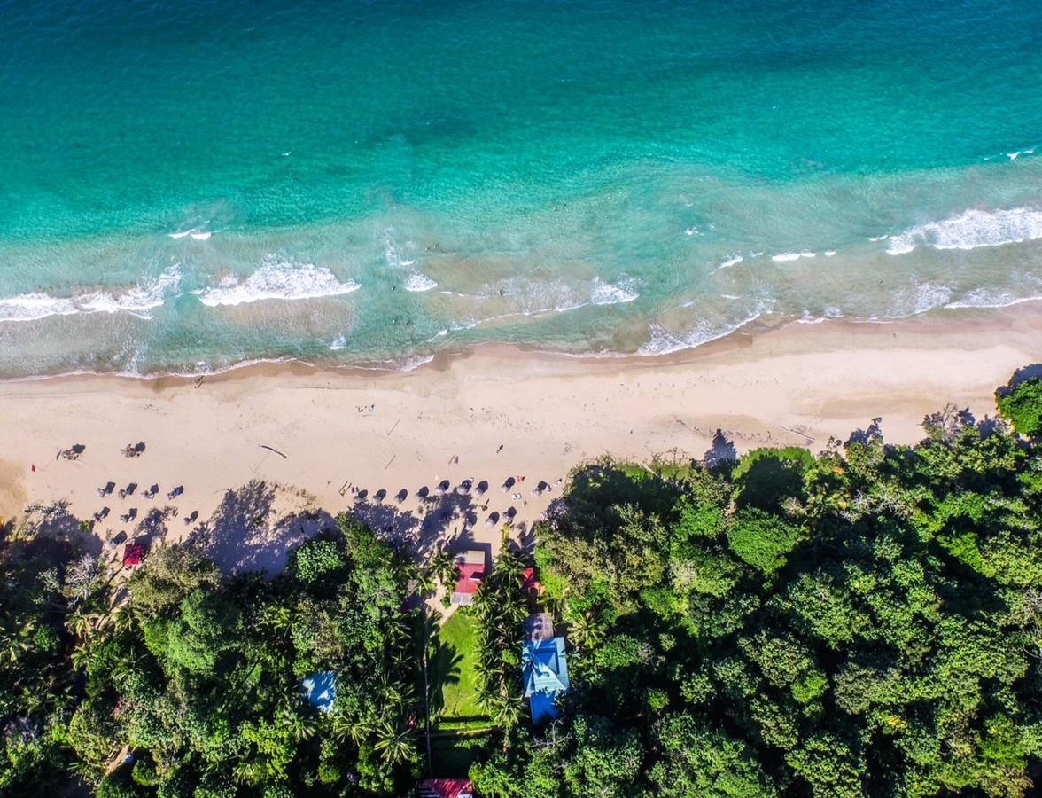 Red Frog Bungalows Surf Resort Bastimentos Exterior foto